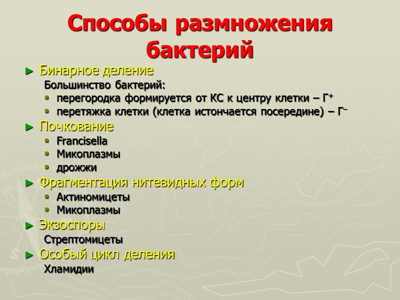 Способы размножения бактерий Бинарное деление Большинство бактерий: перегородка формируется от КС к центру клетки